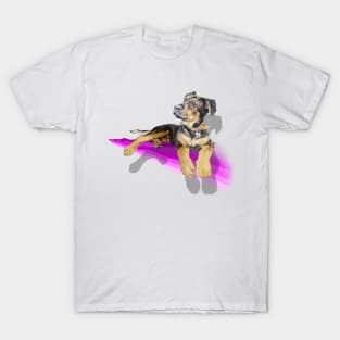 Adorable rottie puppy on a rainbow wave! T-Shirt